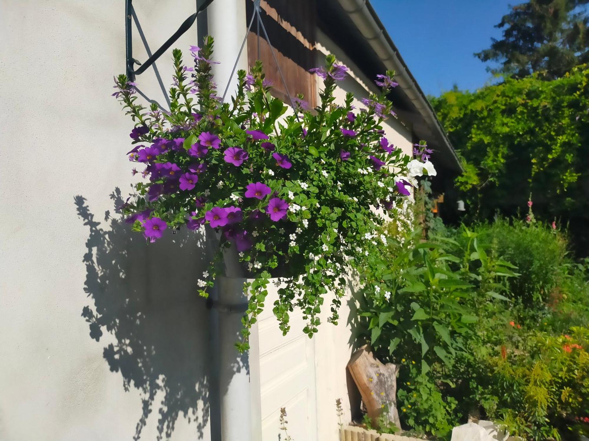 Logis51 Lejlighed Ville-sur-Tourbe Eksteriør billede
