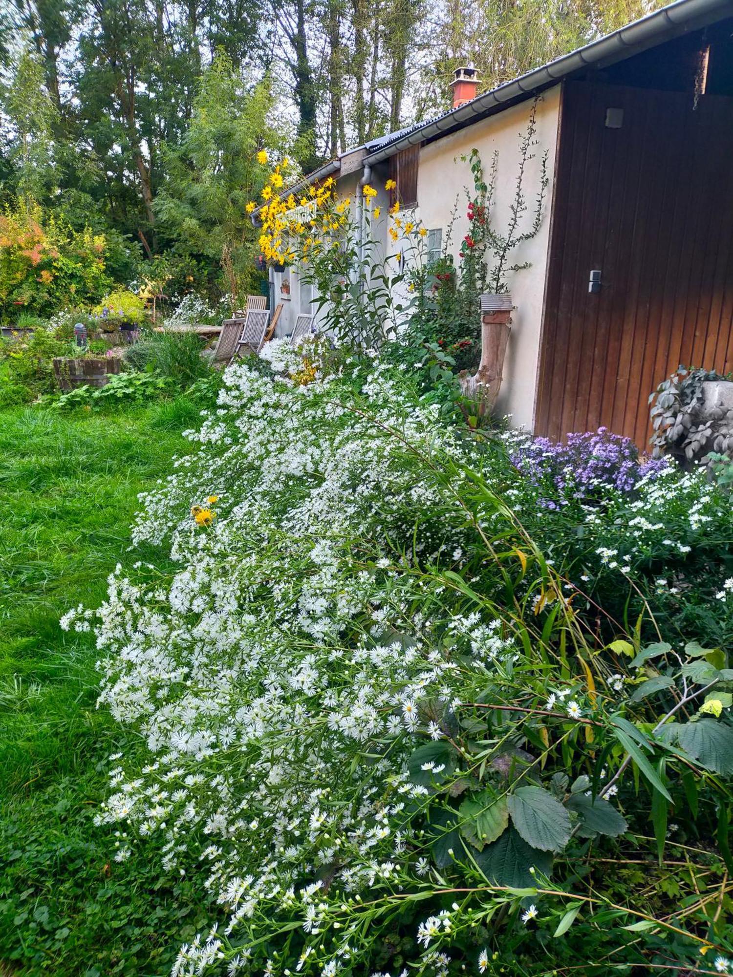 Logis51 Lejlighed Ville-sur-Tourbe Eksteriør billede