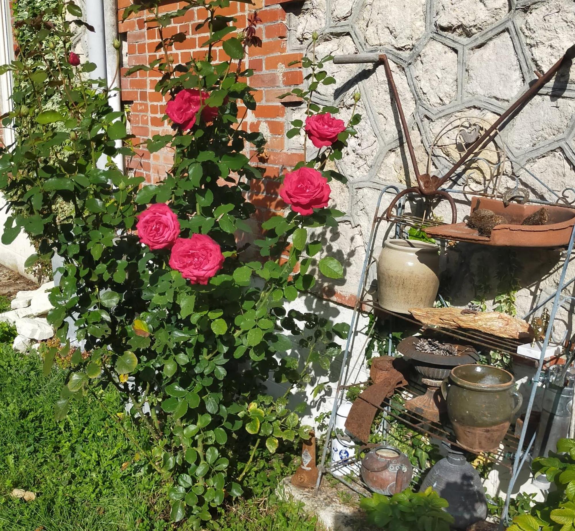 Logis51 Lejlighed Ville-sur-Tourbe Eksteriør billede